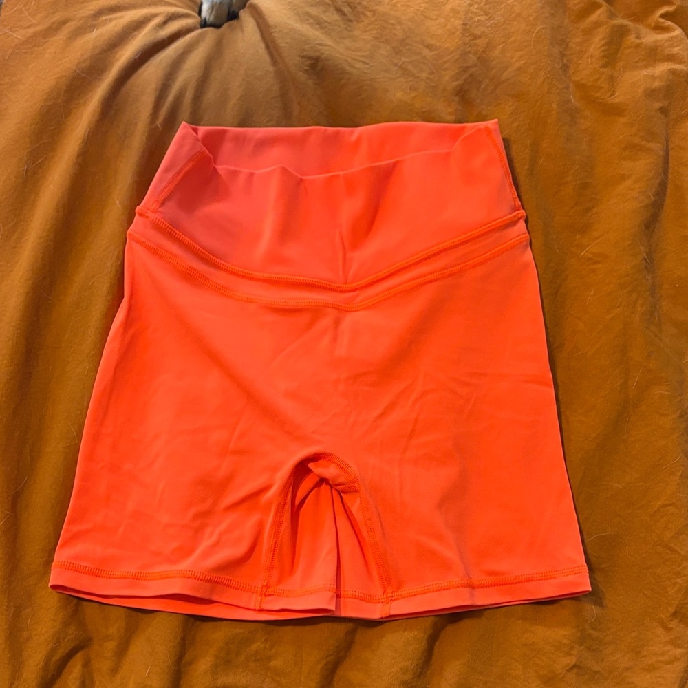 Paragon shorts
